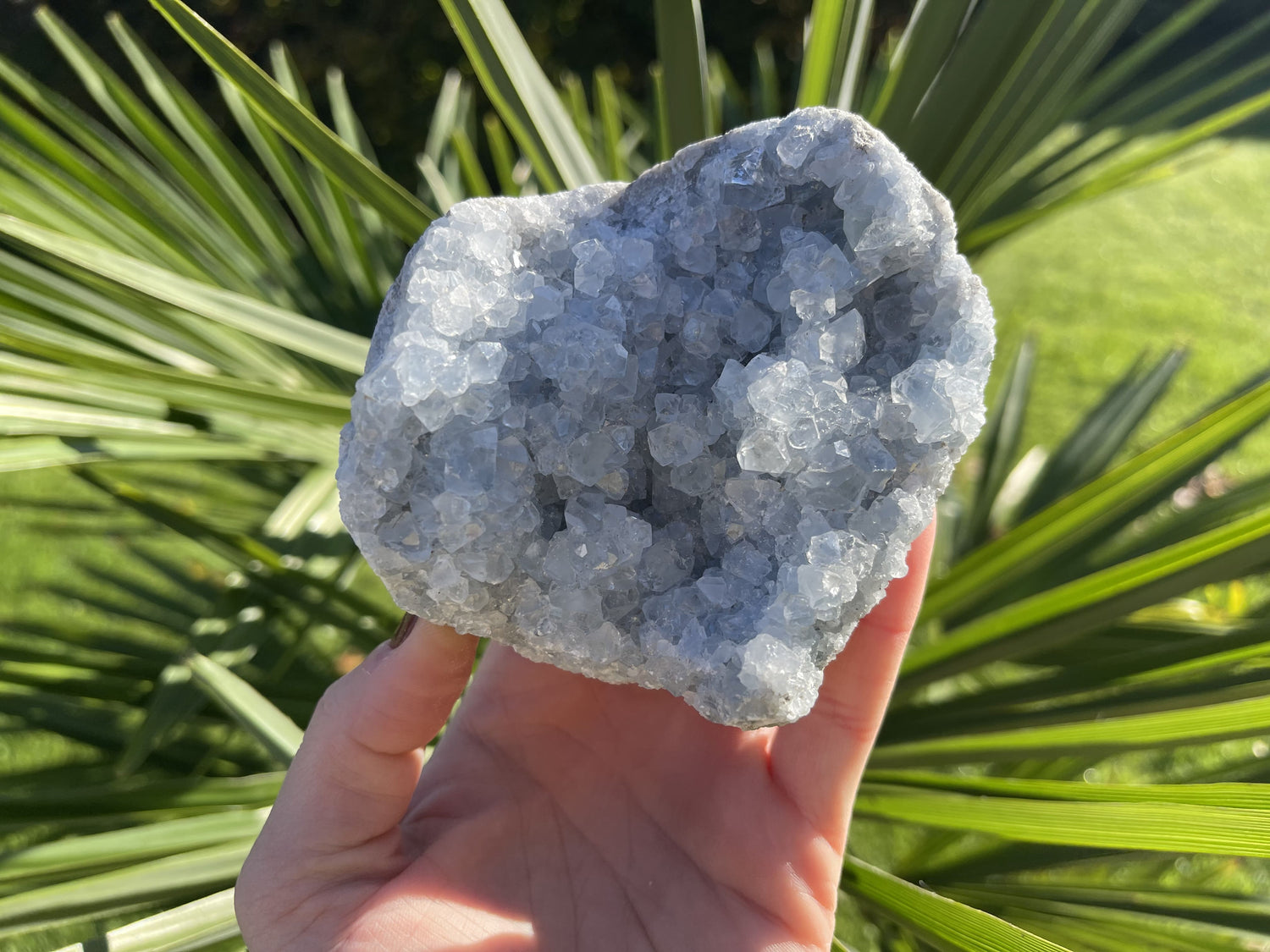 Clusters | Ruw