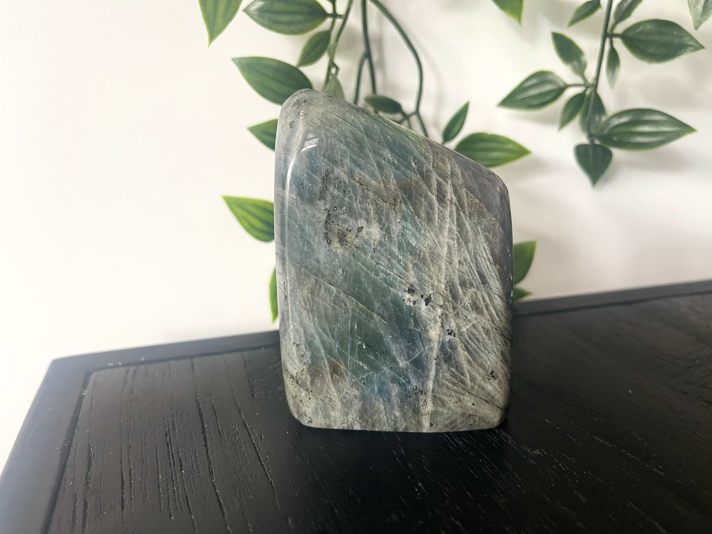 Labradoriet sculptuur