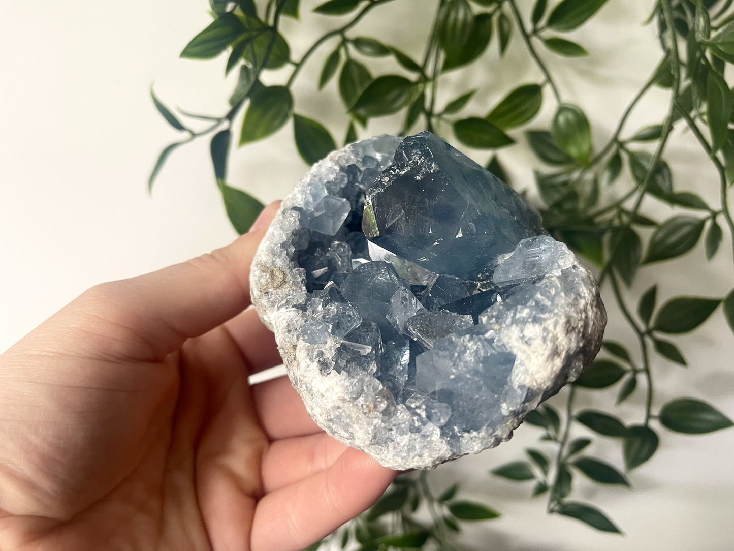 Celestien cluster A-kwaliteit