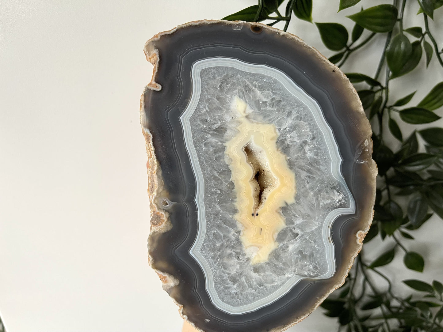 Agaat op standaard XL