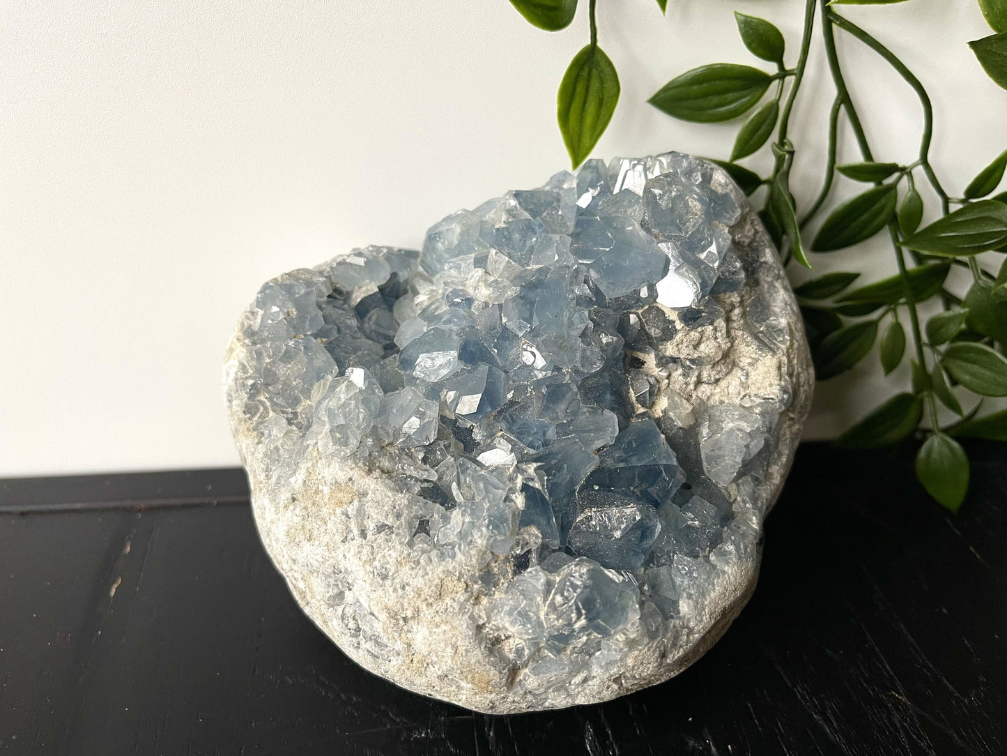 Celestien cluster XL