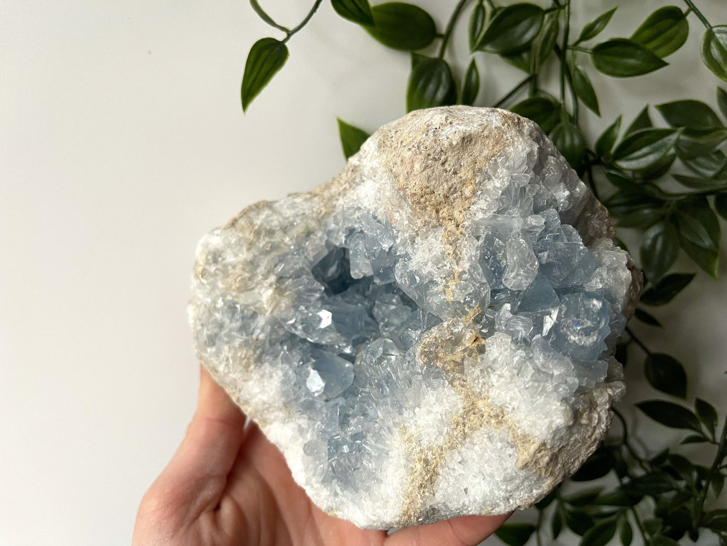 Celestien cluster XL