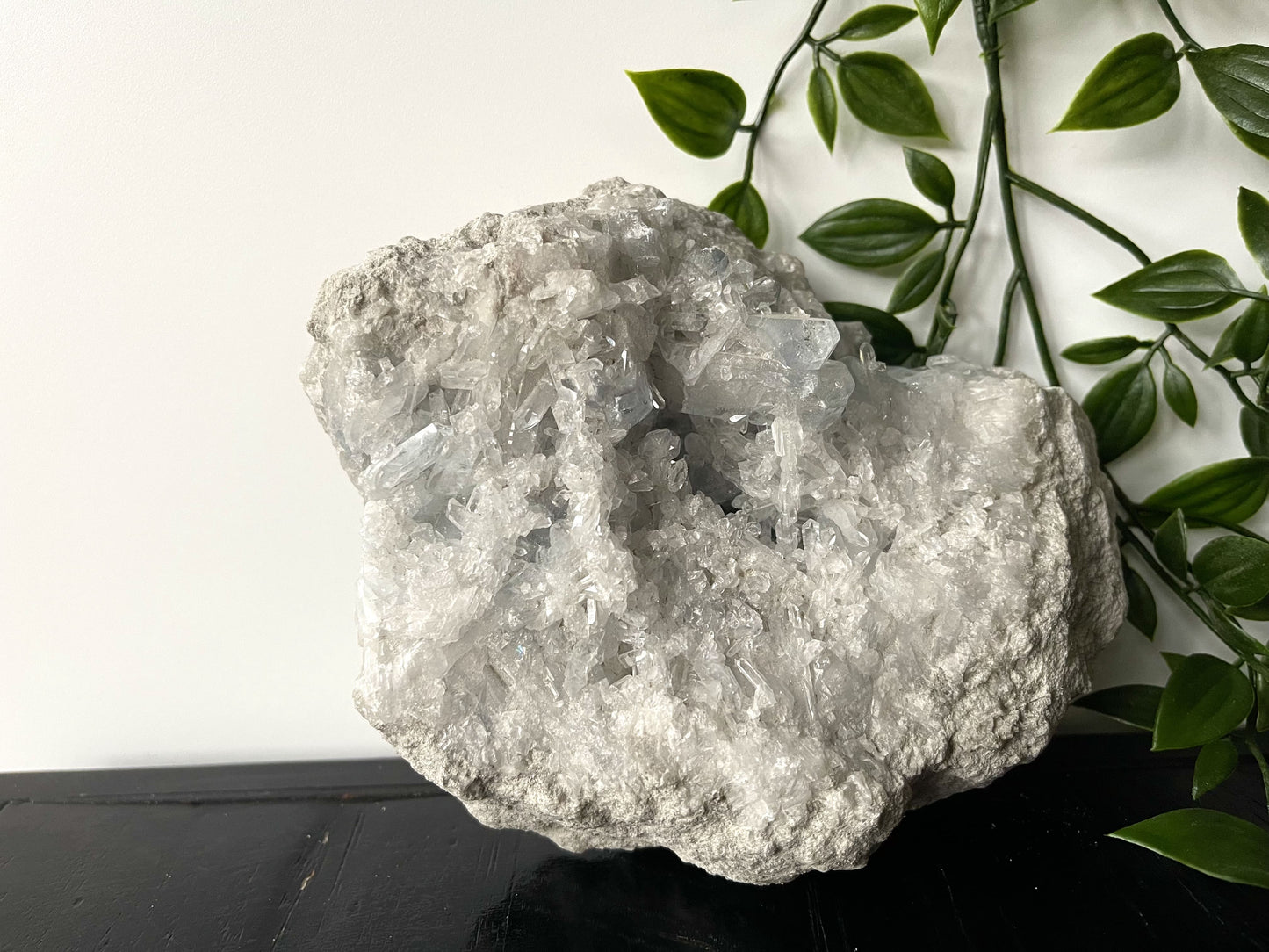 Celestien cluster XL