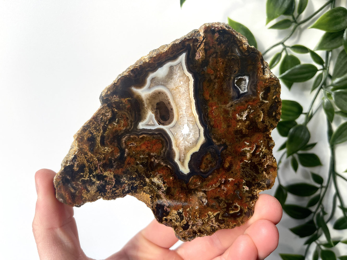 Agaat schijf A-kwaliteit