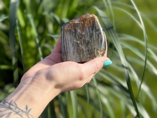 Labradoriet sculptuur