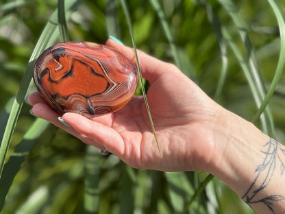 Bandagaat jumbosteen