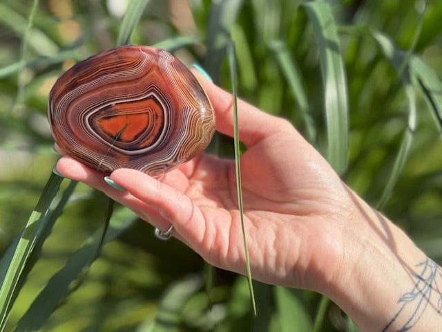 Bandagaat jumbosteen