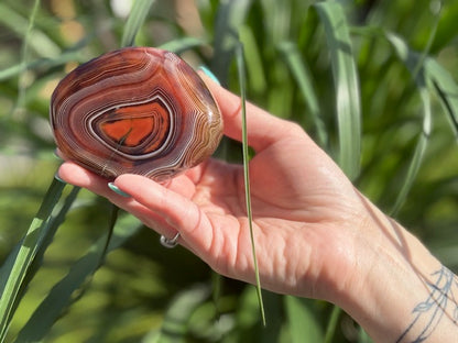 Bandagaat jumbosteen