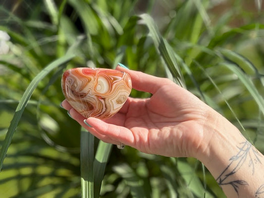 Bandagaat jumbosteen