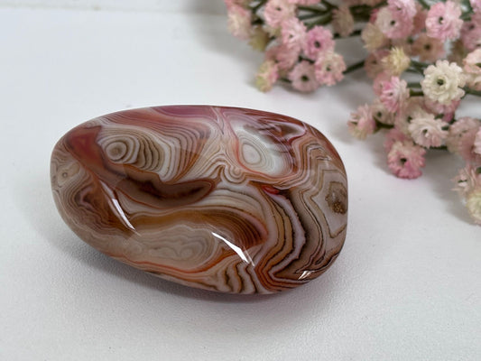 Bandagaat jumbosteen