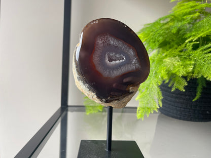 Agaat op standaard M