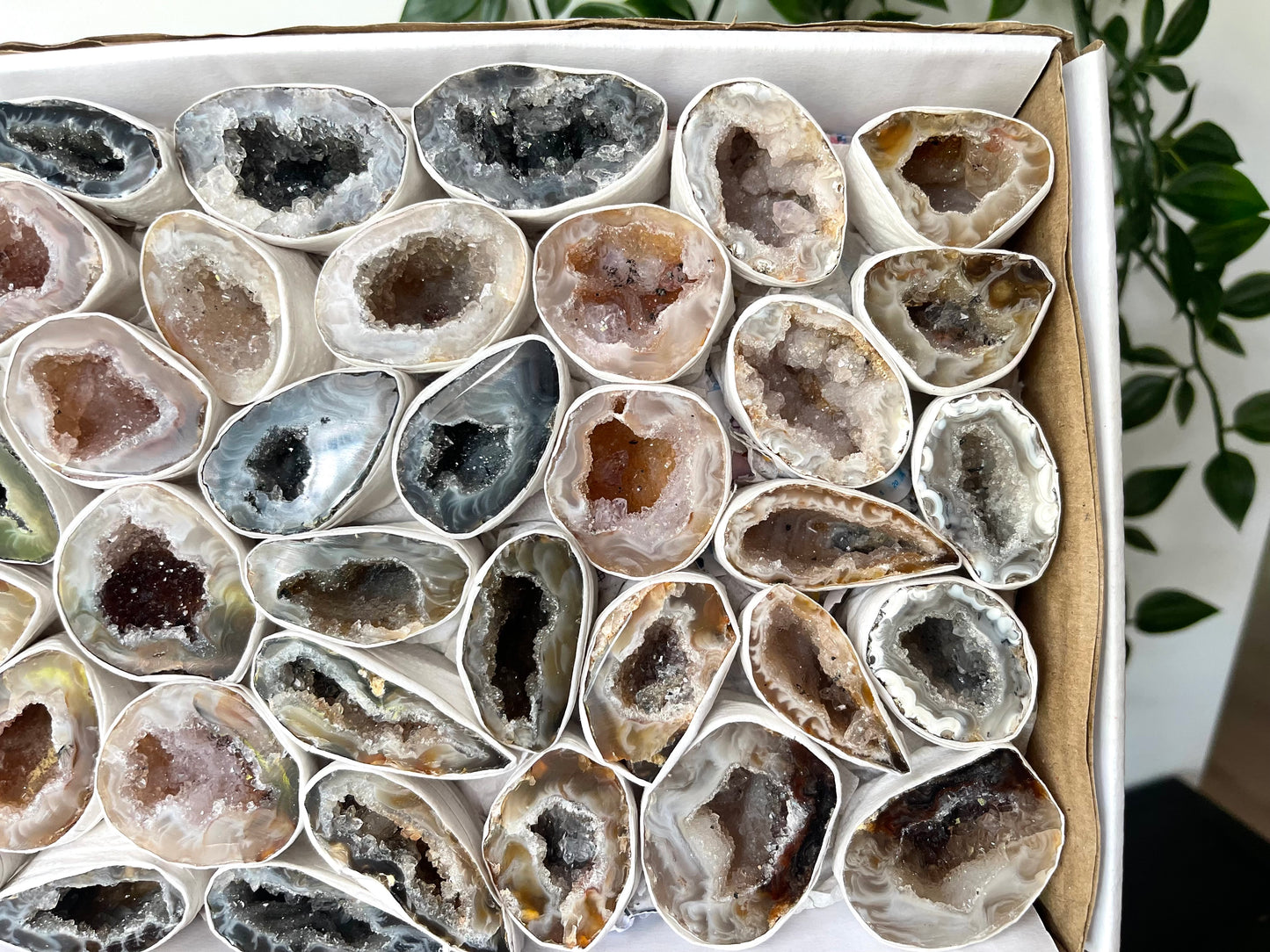 Agaat geode setje