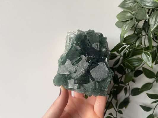 Ruwe Fluoriet