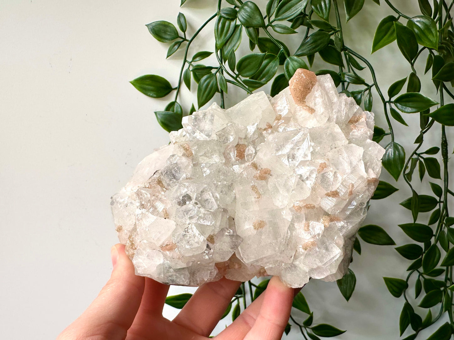 Apofyliet cluster