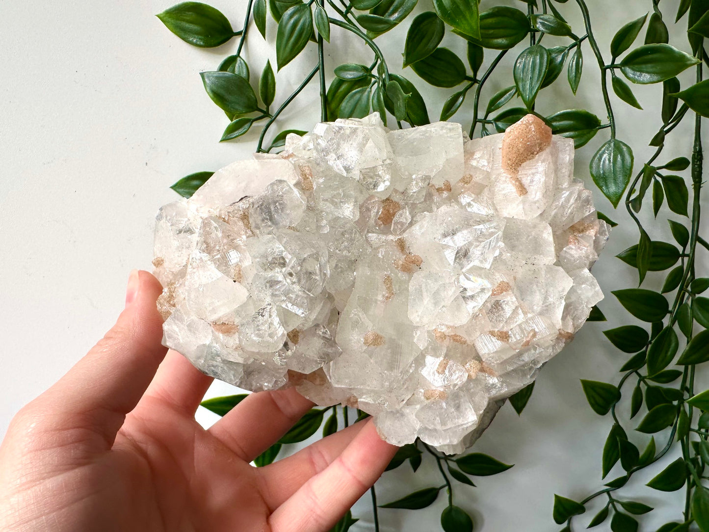 Apofyliet cluster